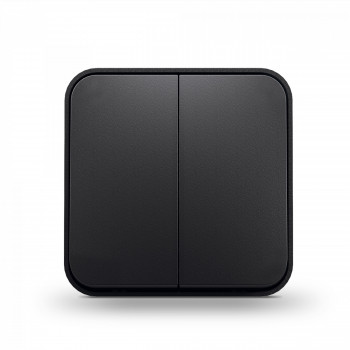 IP20 Switch 1 gang 1 way, surface mounting, black graphite, VIDEX BINERA VF-BNS11-BG