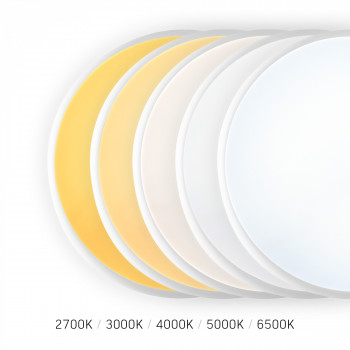 LED emergency overhead lamp with motion sensor VIDEX 15-30W 2700-6500K 220V VL-CLR-EM300-2