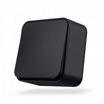 IP20 Switch 2 gang 1 way, surface mounting, black graphite, VIDEX BINERA VF-BNS12-BG